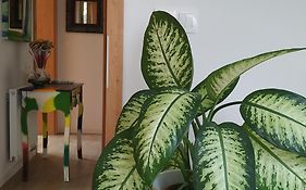 Design Residence -Garden & Comfort